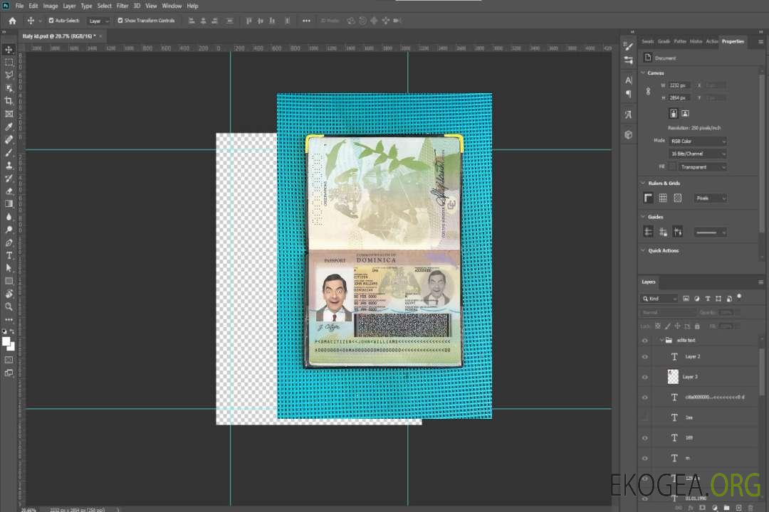 Regard sur la photo du passeport dominicain template Regard sur la photo du passeport dominicain template